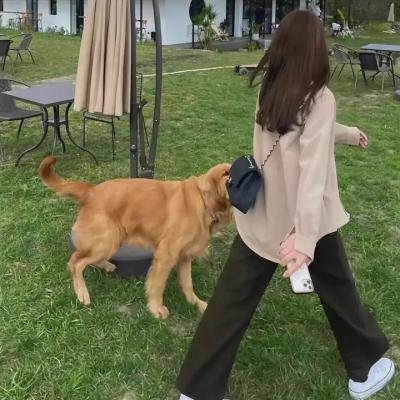 下一战歌手