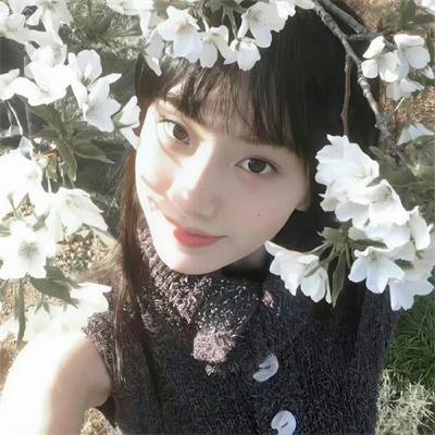 刽子手之歌