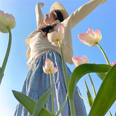 倩狐之京卫怪谈